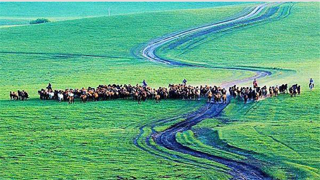 Bayinbulak Grassland, take you to experience the most perfect poverty-stricken travel strategy!(图1)