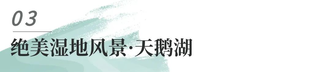 開都河：英雄史詩の流れ、絶景の景観の現れ(图6)